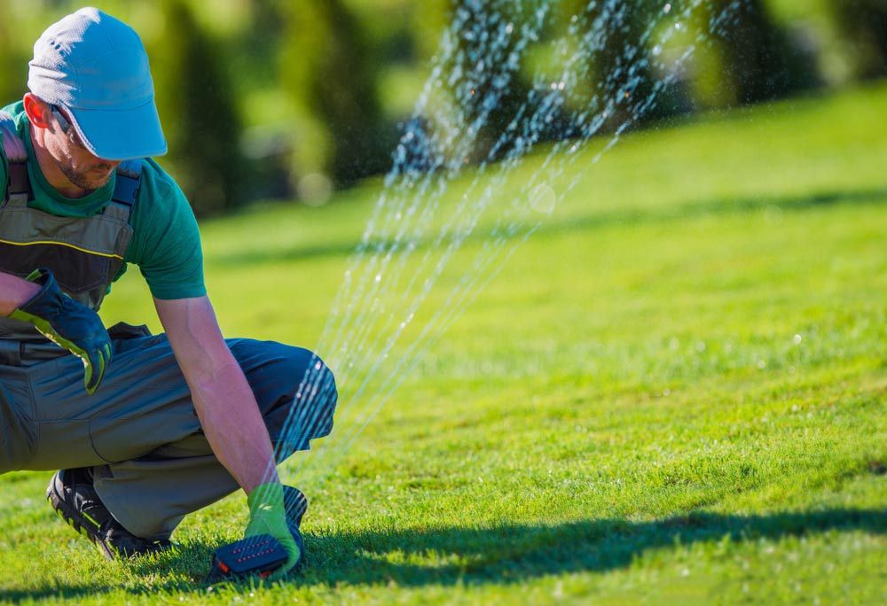 A Man Checking The Sprinklers — Watering Products & Hoses in Gympie, QLD