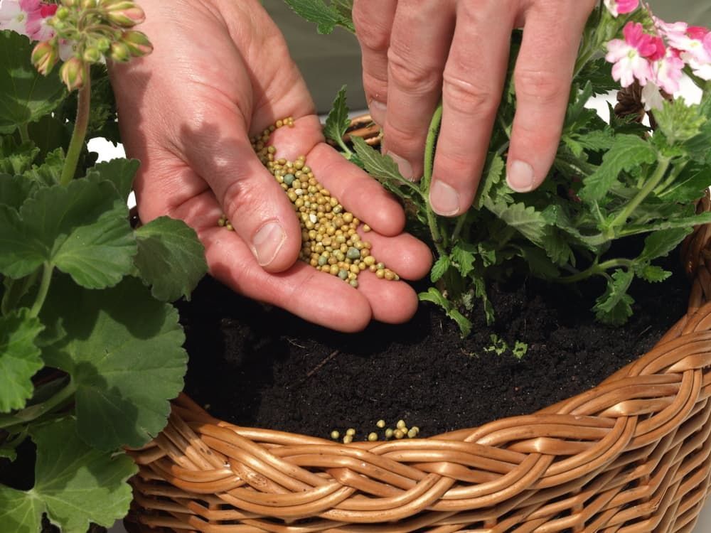 Fertilisers, Herbicides & Pesticides — Rural Supplies Store & Garden Centre in Gympie, QLD