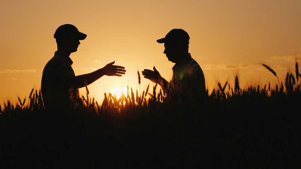 The Farmer Signs A Contact On The Field — Premium Gardening Supplies in Gympie, QLD
