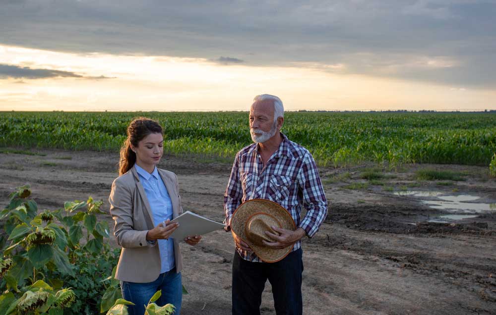Senior Farmer And Woman Standing In Sunflower Field And Talking — Premium Gardening Supplies in Gympie, QLD