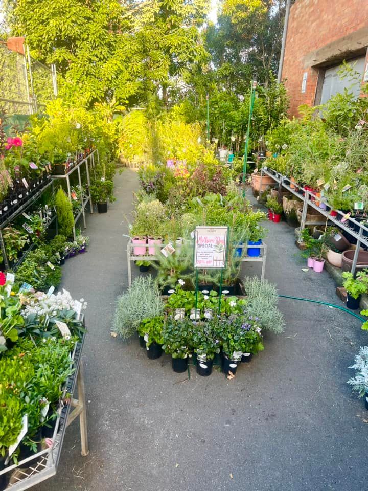Array of seedlings and plants — Rural Supplies Store & Garden Centre in Gympie, QLD
