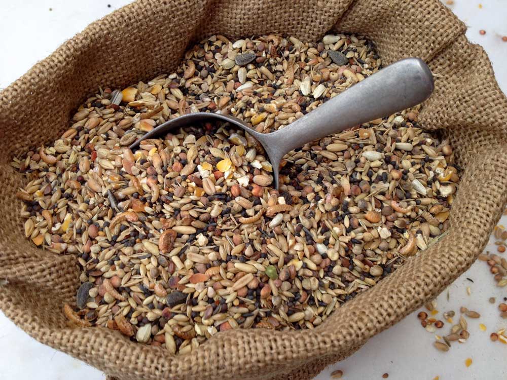 Chicken Feed With Many Different Sorts Of Grain In A Small Bag — Rural Supplies Store & Garden Centre in Gympie, QLD