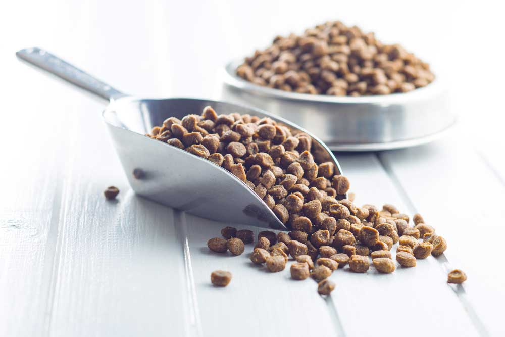 Dried Food For Dogs Or Cats In Scoop — Premium Gardening Supplies in Gympie, QLD