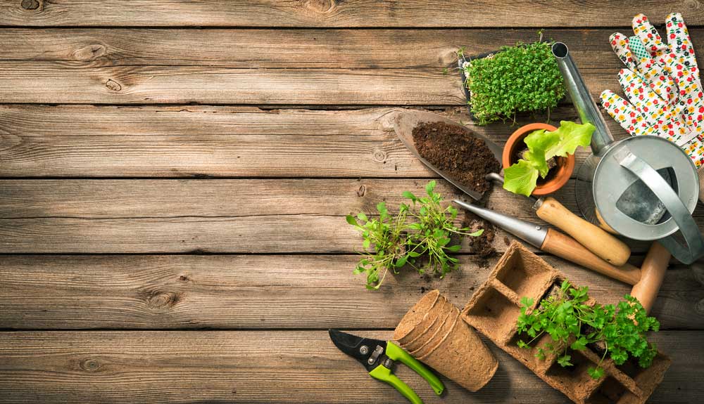 Gardening Tools, Seeds And Soil On Wooden Table — Rural Supplies Store & Garden Centre in Gympie, QLD
