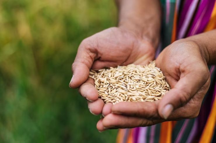 Pasture Seed — Rural Supplies Store & Garden Centre in Gympie, QLD