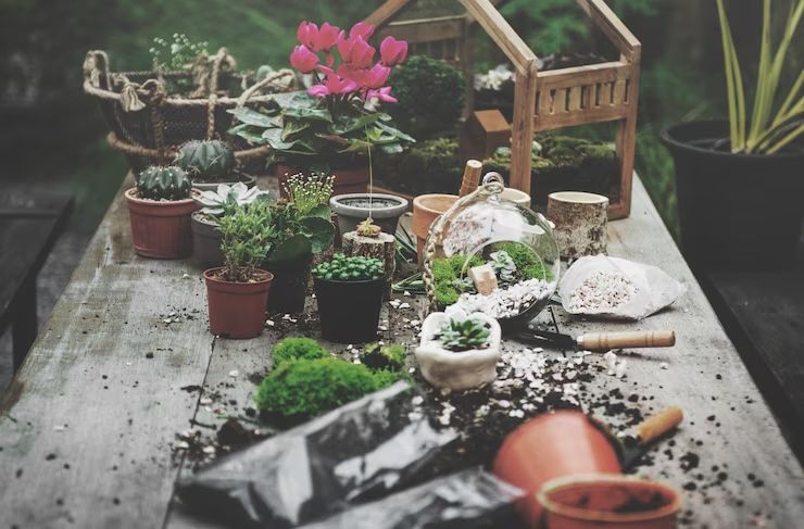 Pots, Garden Ornaments & Giftware — Rural Supplies Store & Garden Centre in Gympie, QLD
