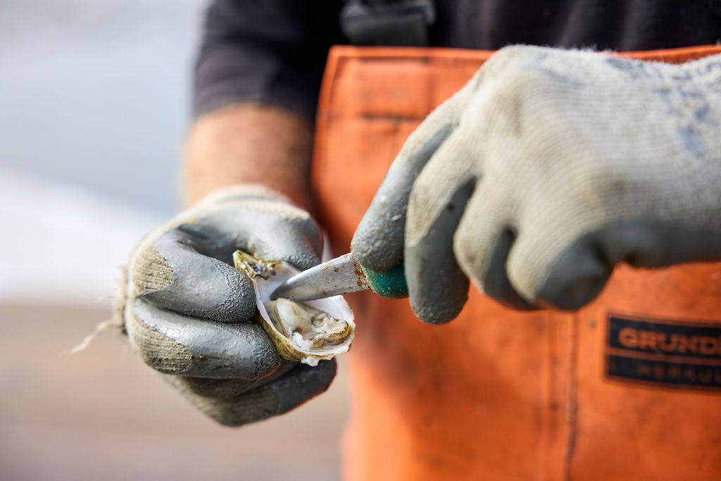 Amy Mikler photographing oyster farmers & Bautista Farms for her Farm Behind the Food series.