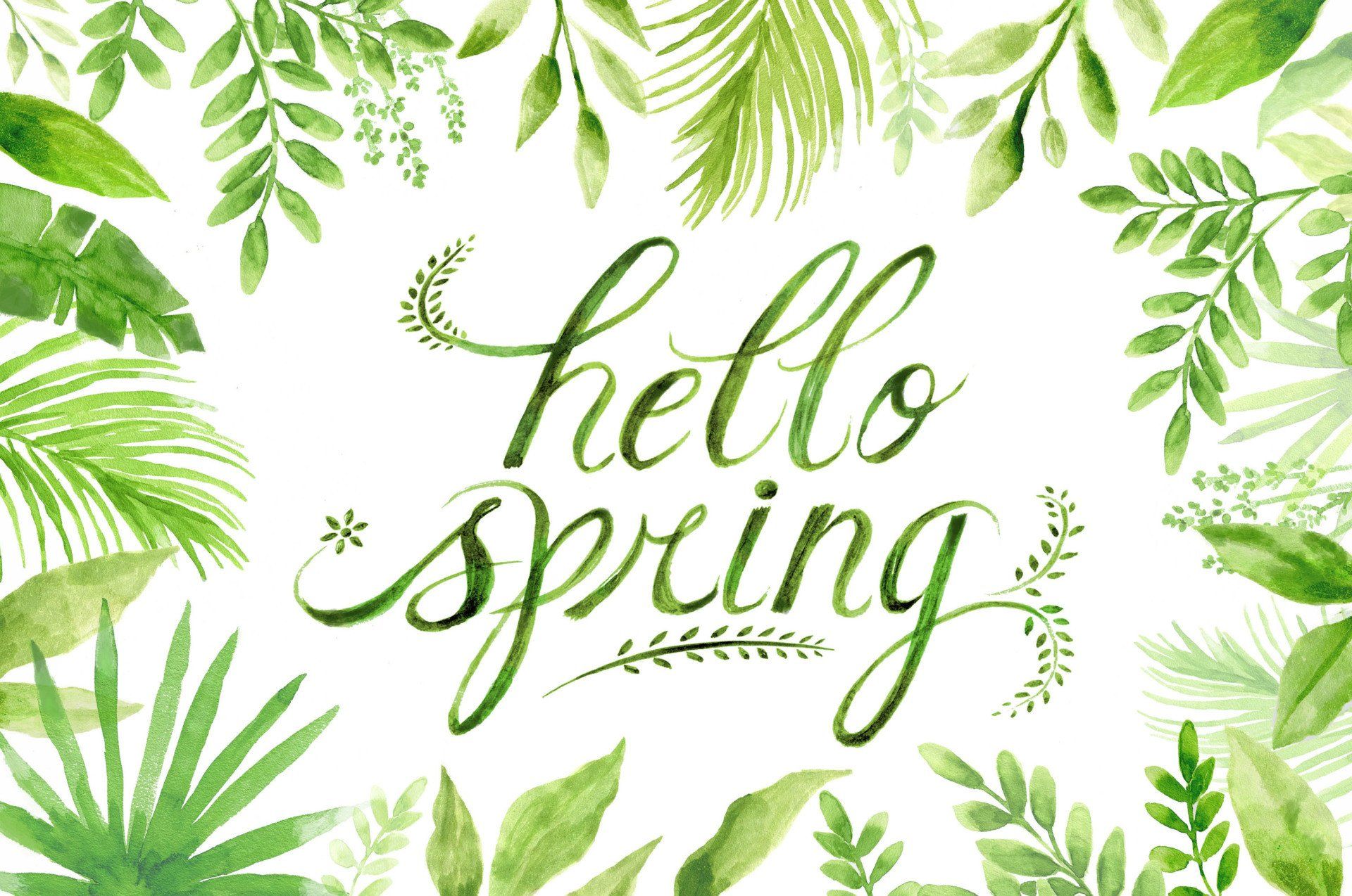 Illustrator James Nelson Hello Spring