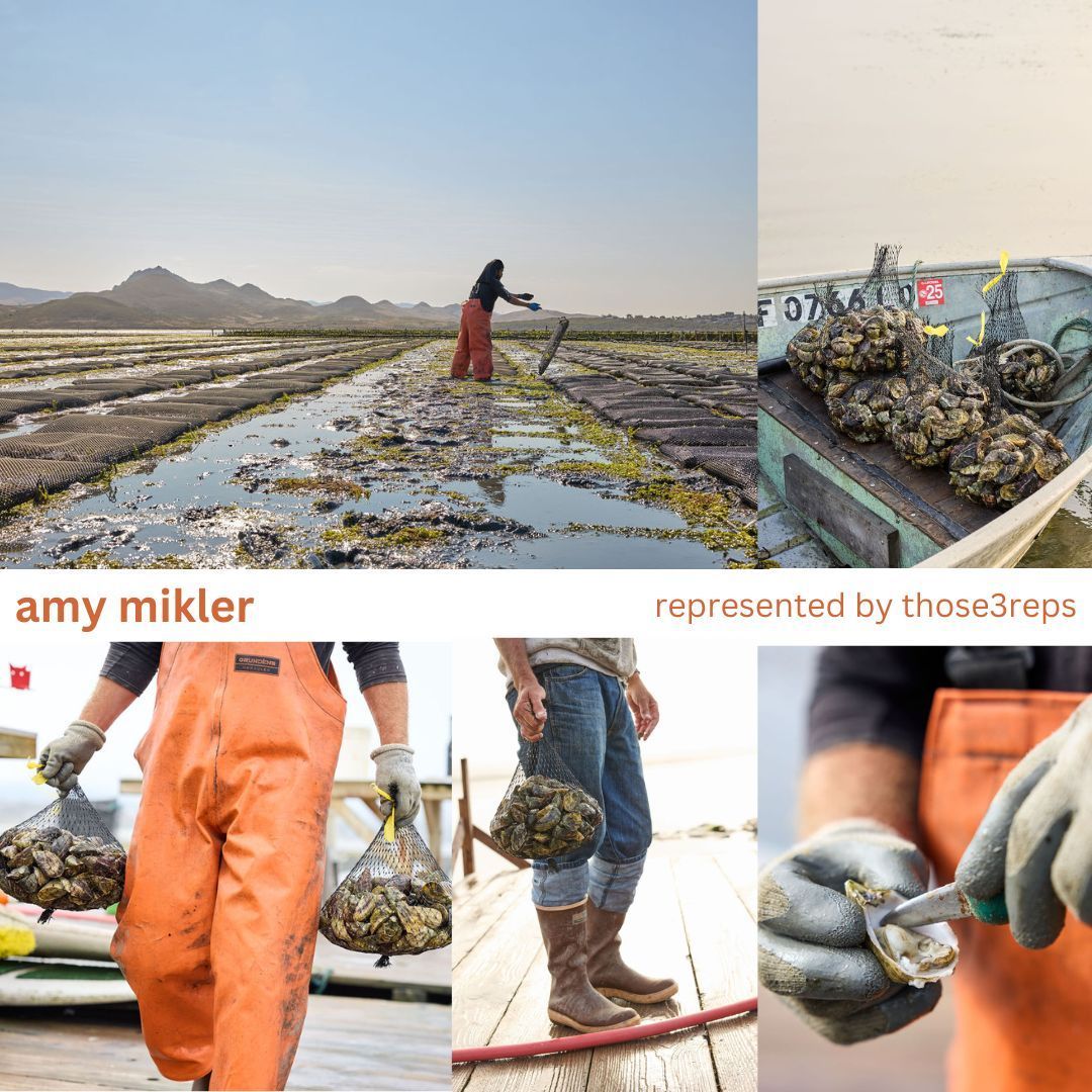 Collage of oyster farming shot by Amy Mikler