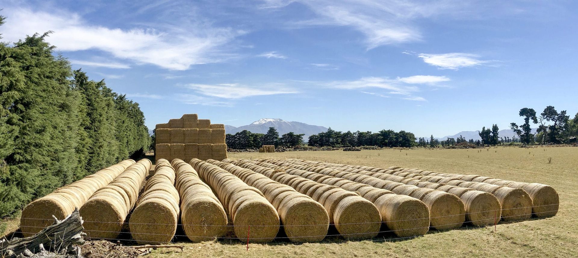 Bales of hay are stacked on top of each other in a field