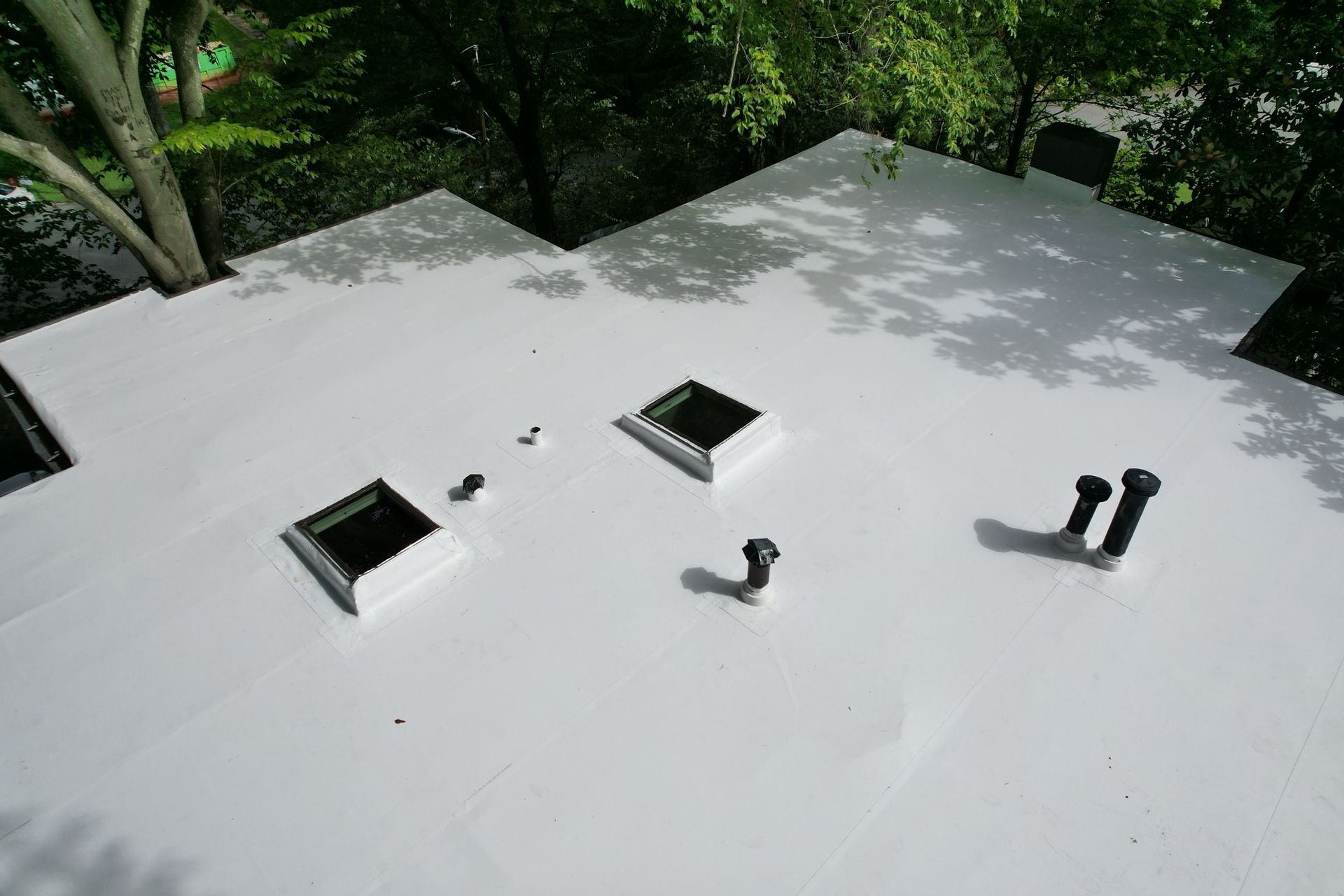 A high-angle view of a flat white roof with several square skylights and dark vent pipes surrounded by green tree branches.