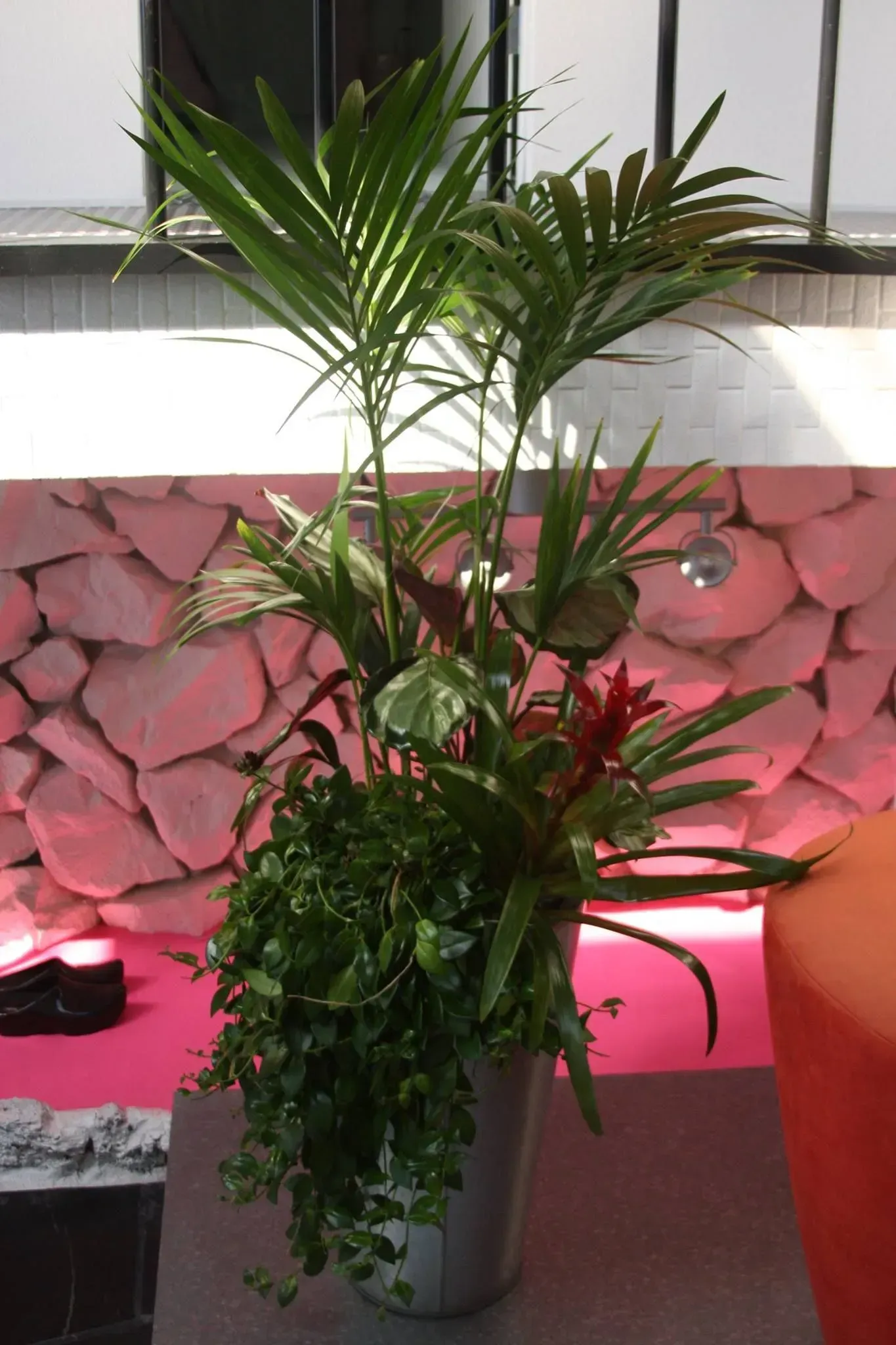 An arrangement of various green plants in a silver pot, against a pink stone wall.