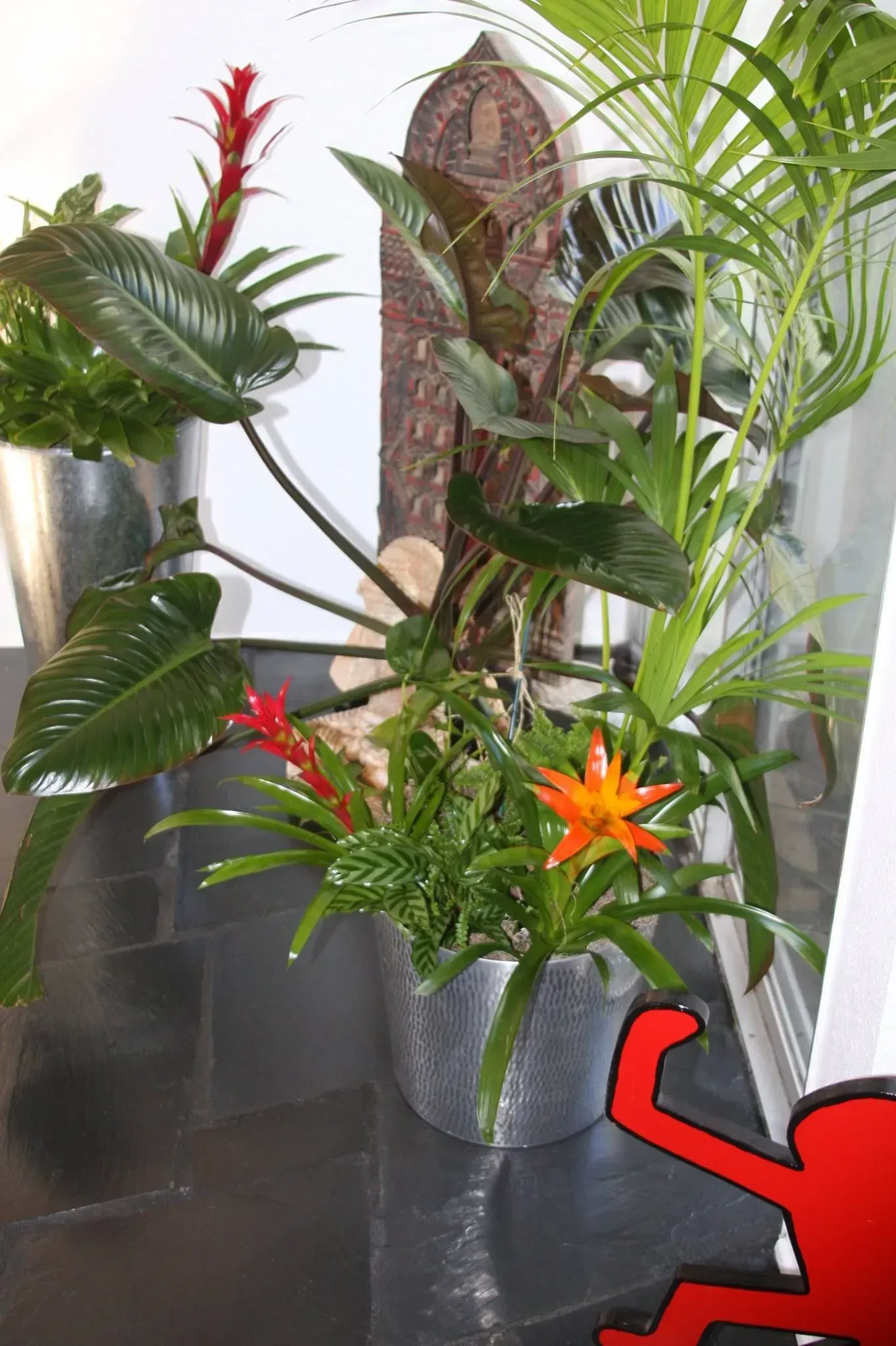 Assortment of potted plants with colorful flowers in a room.