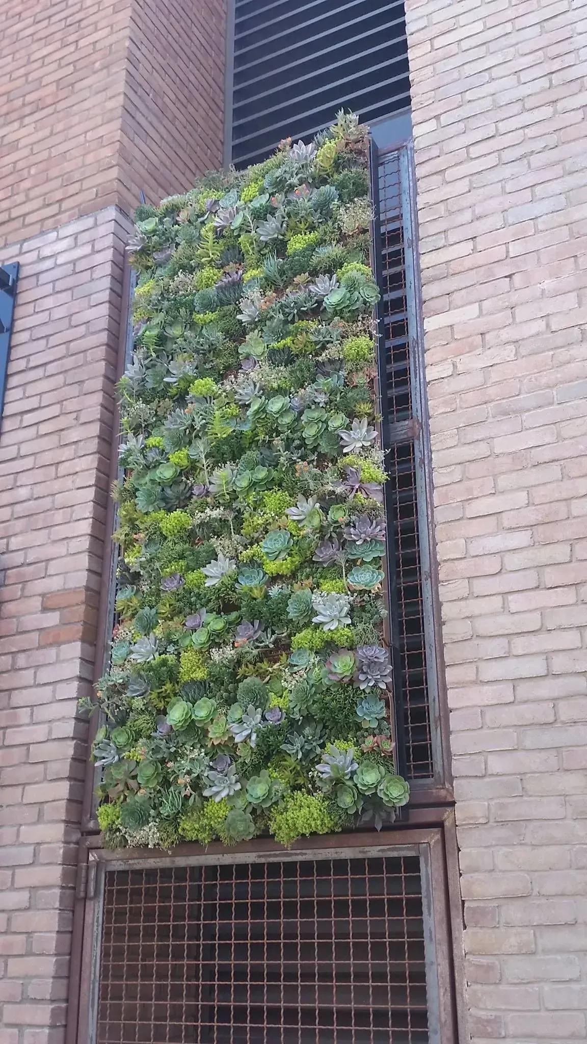 Vertical garden in a brick wall recess, filled with various green and purple succulents.
