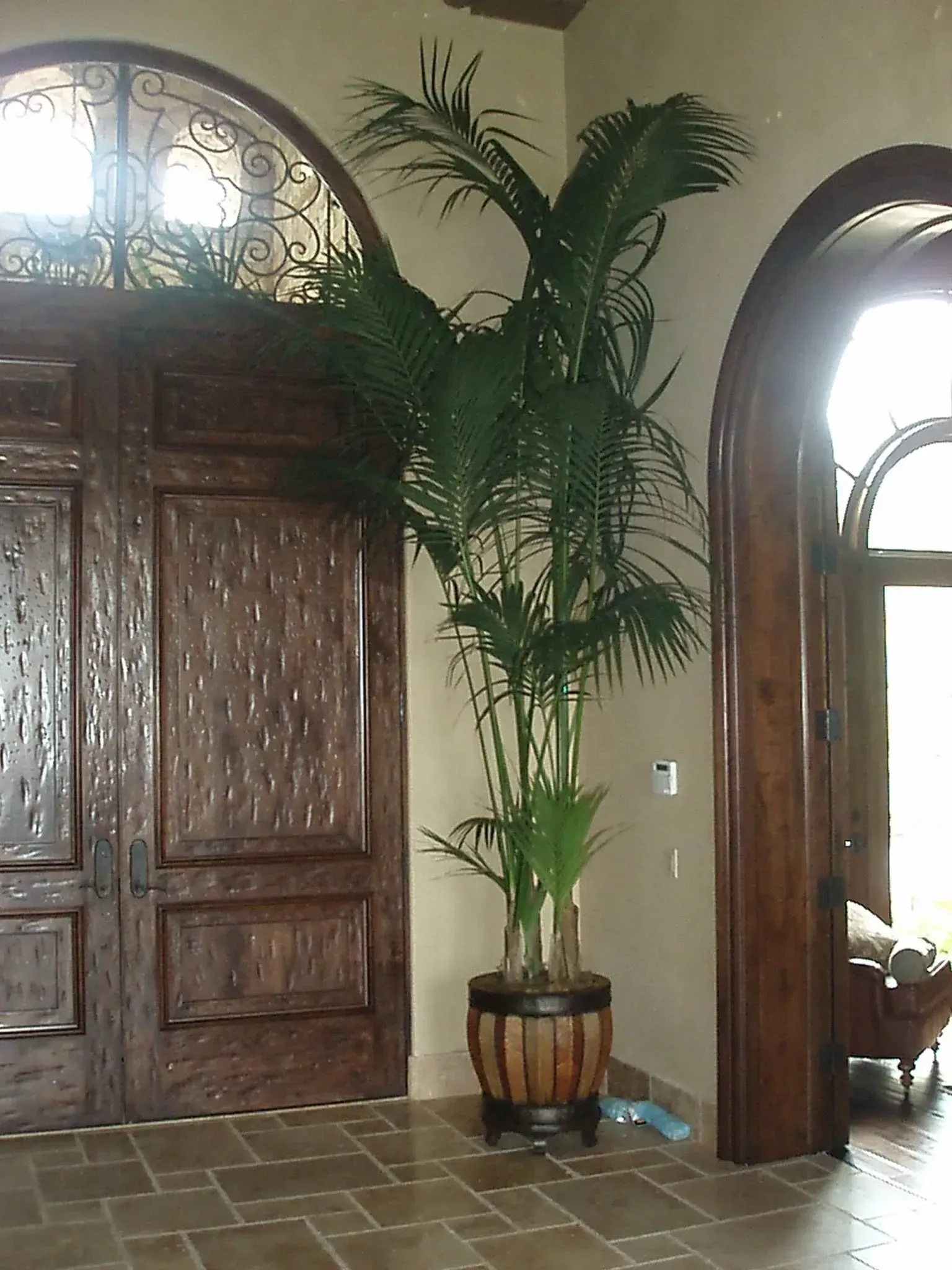 Tall palm tree in a wooden barrel pot between ornate, dark wooden double doors and an arched doorway.