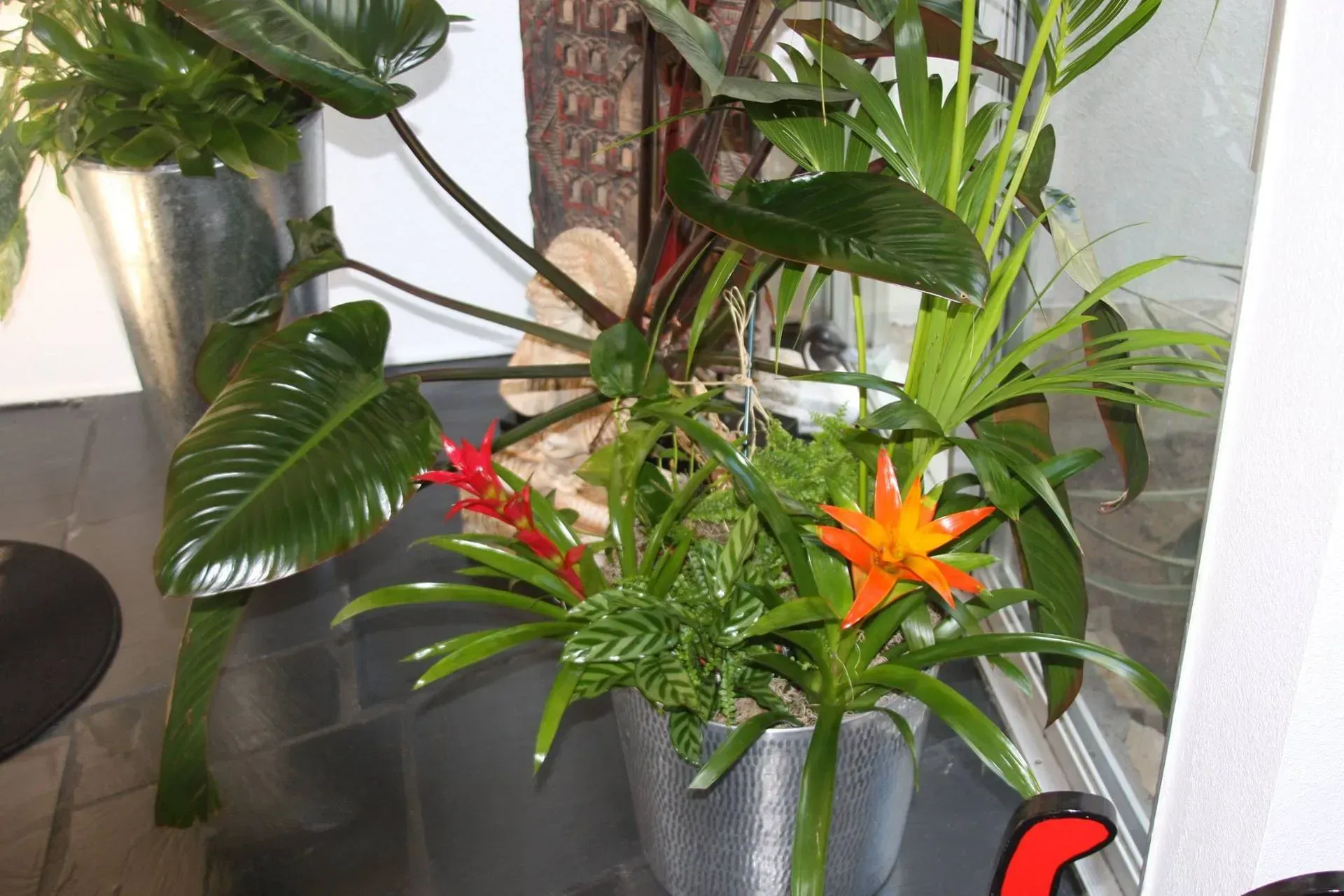 Potted plants with vibrant green leaves and orange and red flowers. Silver planters.