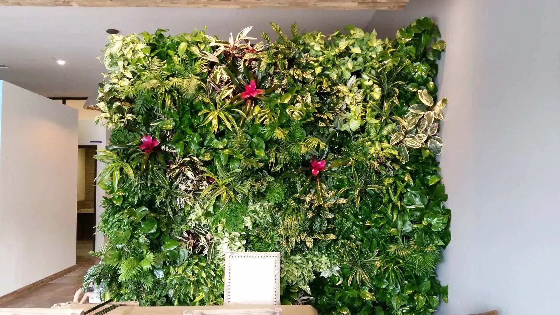 Living wall of lush green plants with pops of pink flowers.