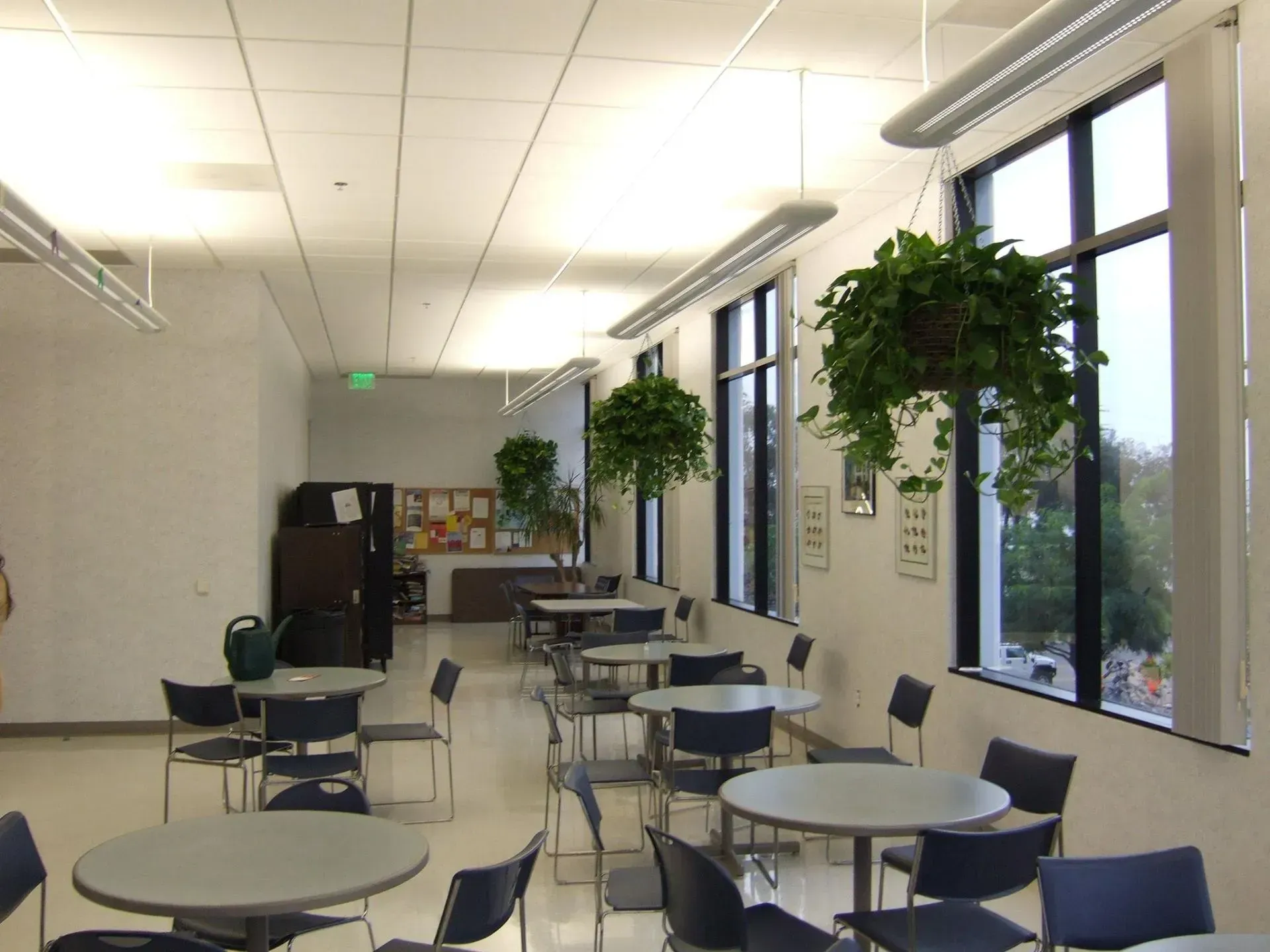 Empty cafe with round tables, chairs, windows, and hanging plants.