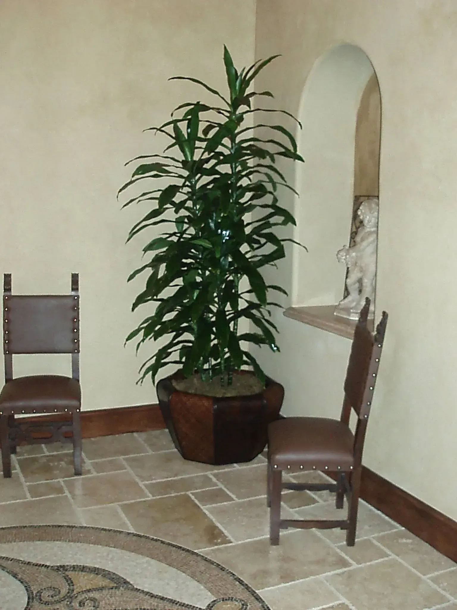 Two brown chairs flank a tall potted plant in a room with stone floors and a niche.