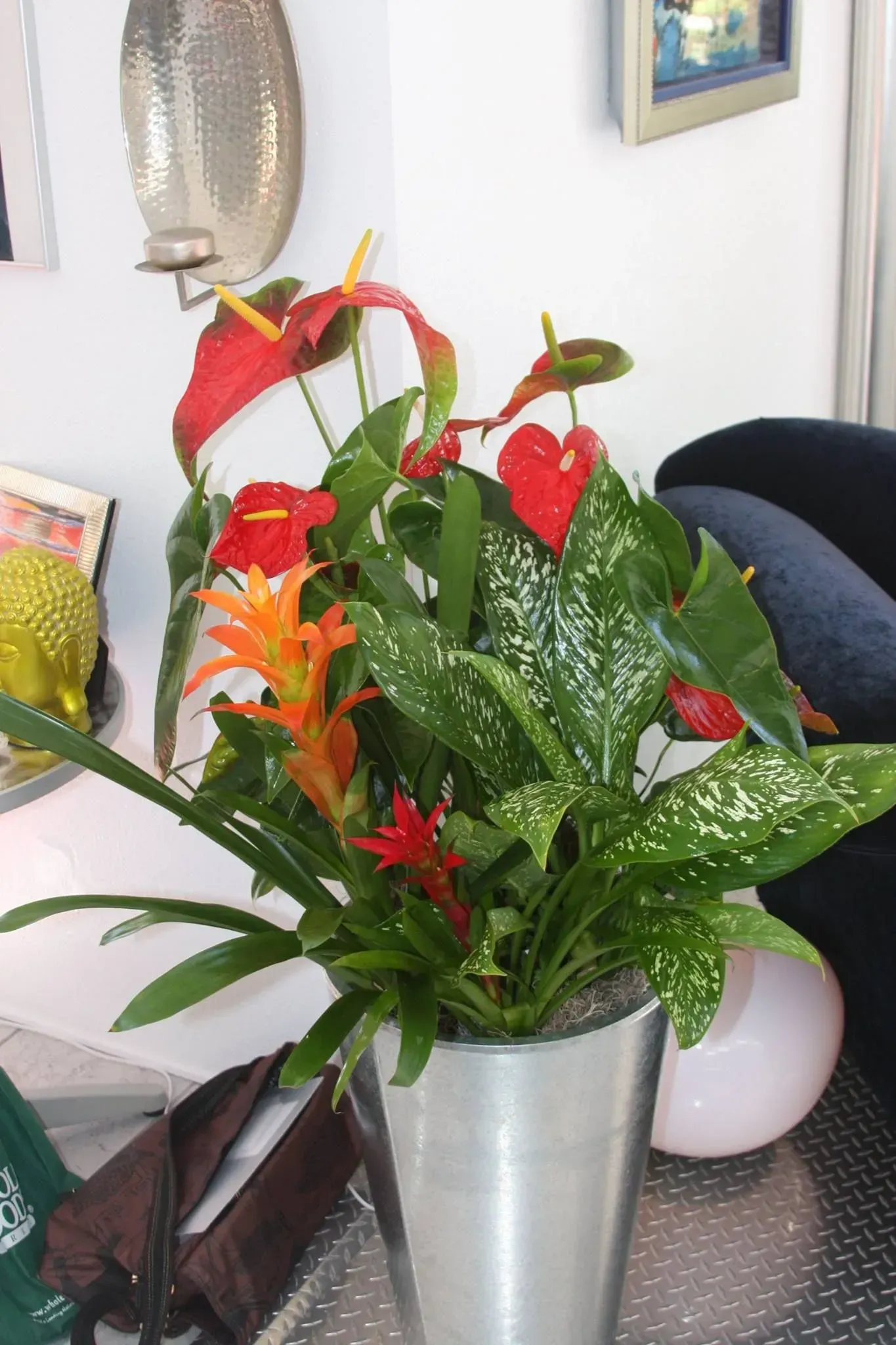 Red and orange flowers in a silver pot, with speckled green leaves, next to a black chair.