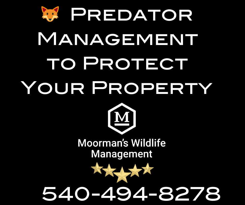 A poster for predator management to protect your property.