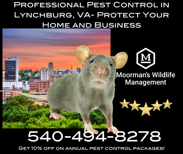 Lynchburg Pest and Wildlife Management Services