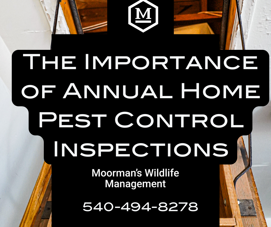 A sign that says the importance of annual home pest control inspections