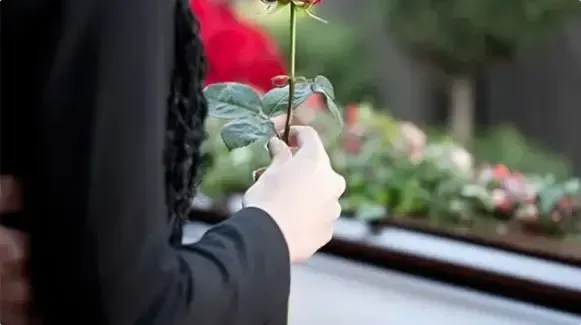 Person holding a red rose by a window with blurred flowers outside