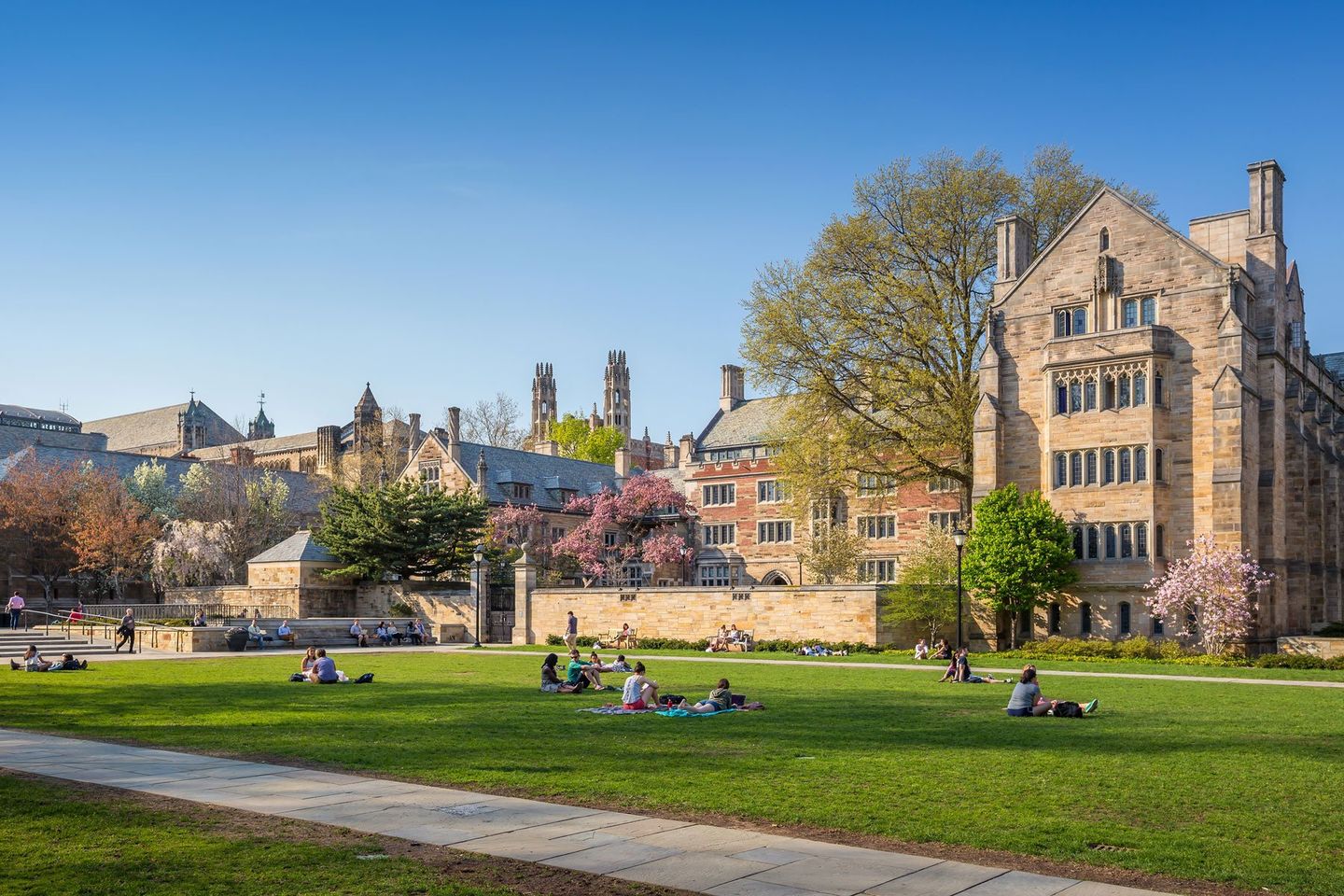 Lauren_Jackson_College_Consulting_Website_1