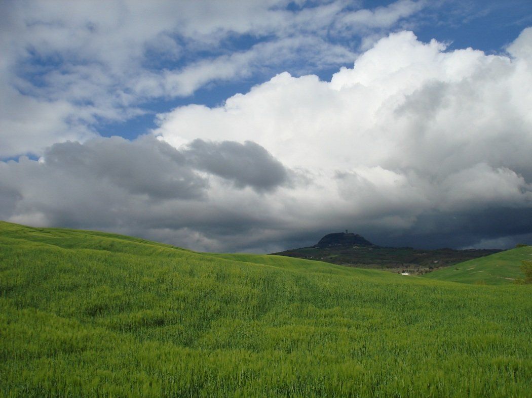 distesa di campi verdi in Val d'Orcia