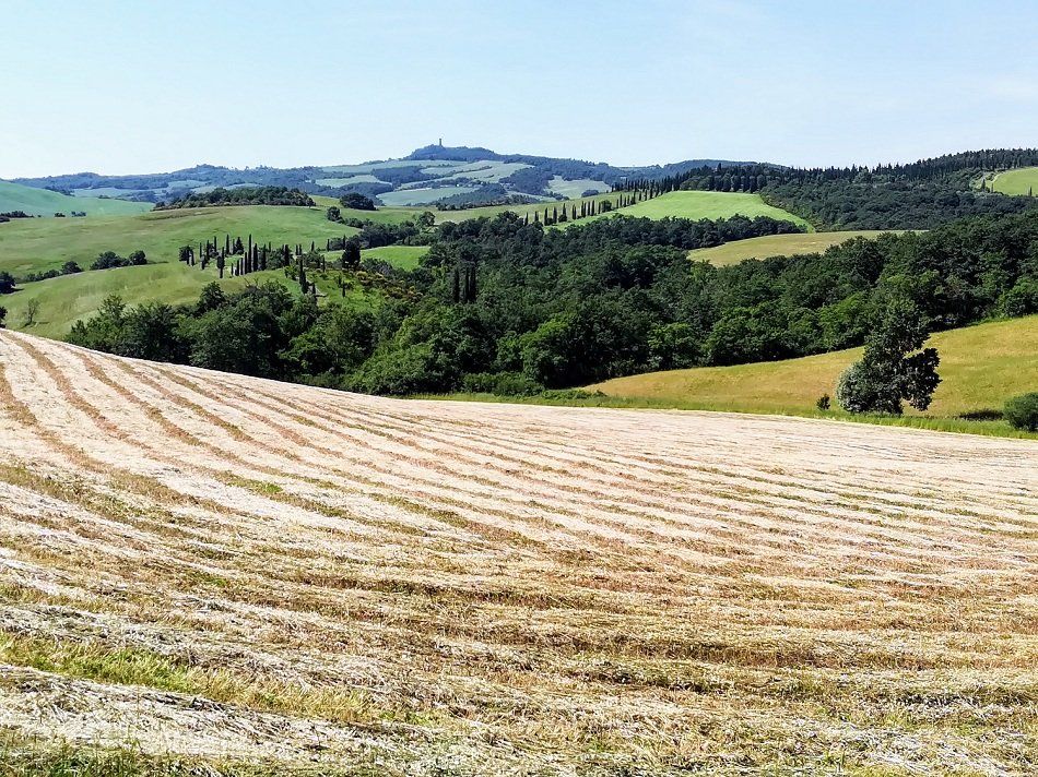 paesaggio rurale toscano