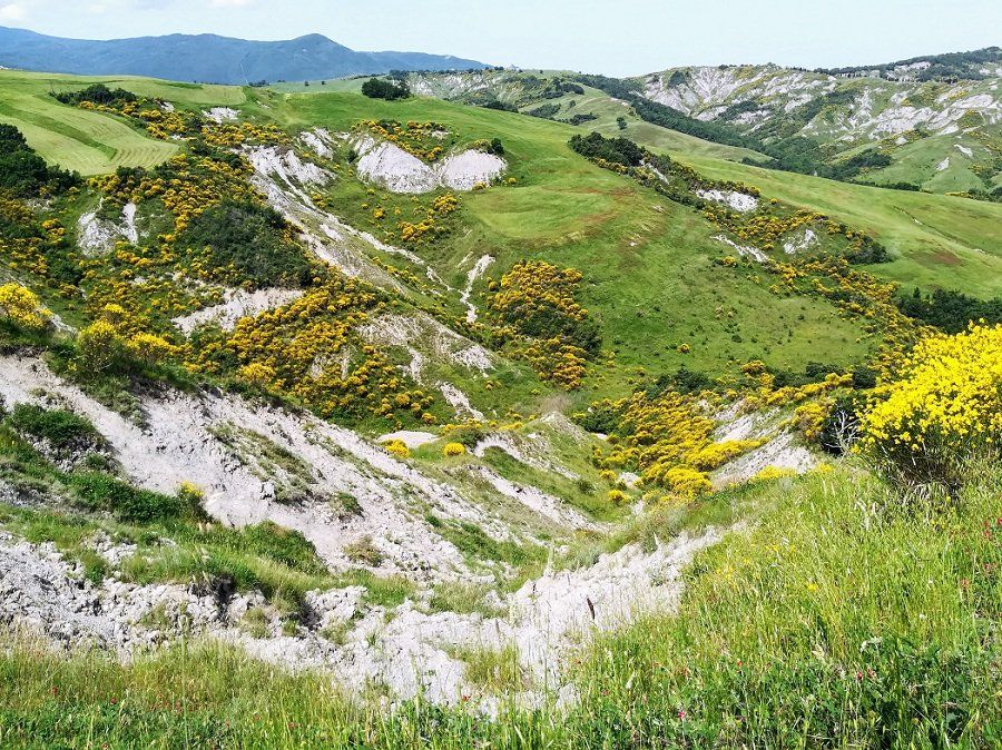 paesaggio naturale in Val d'Orcia