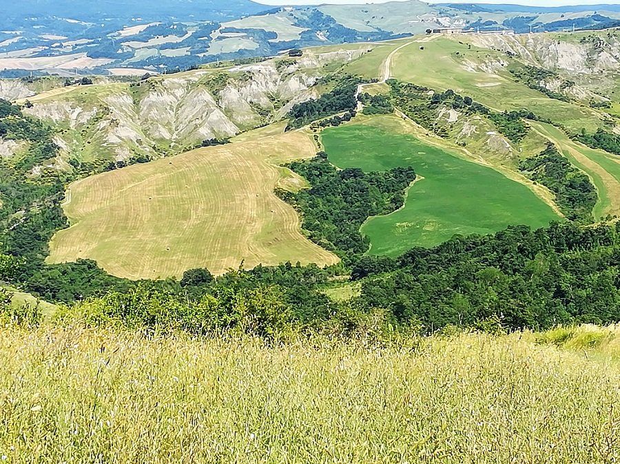 paesaggio collinare in Val d'Orcia