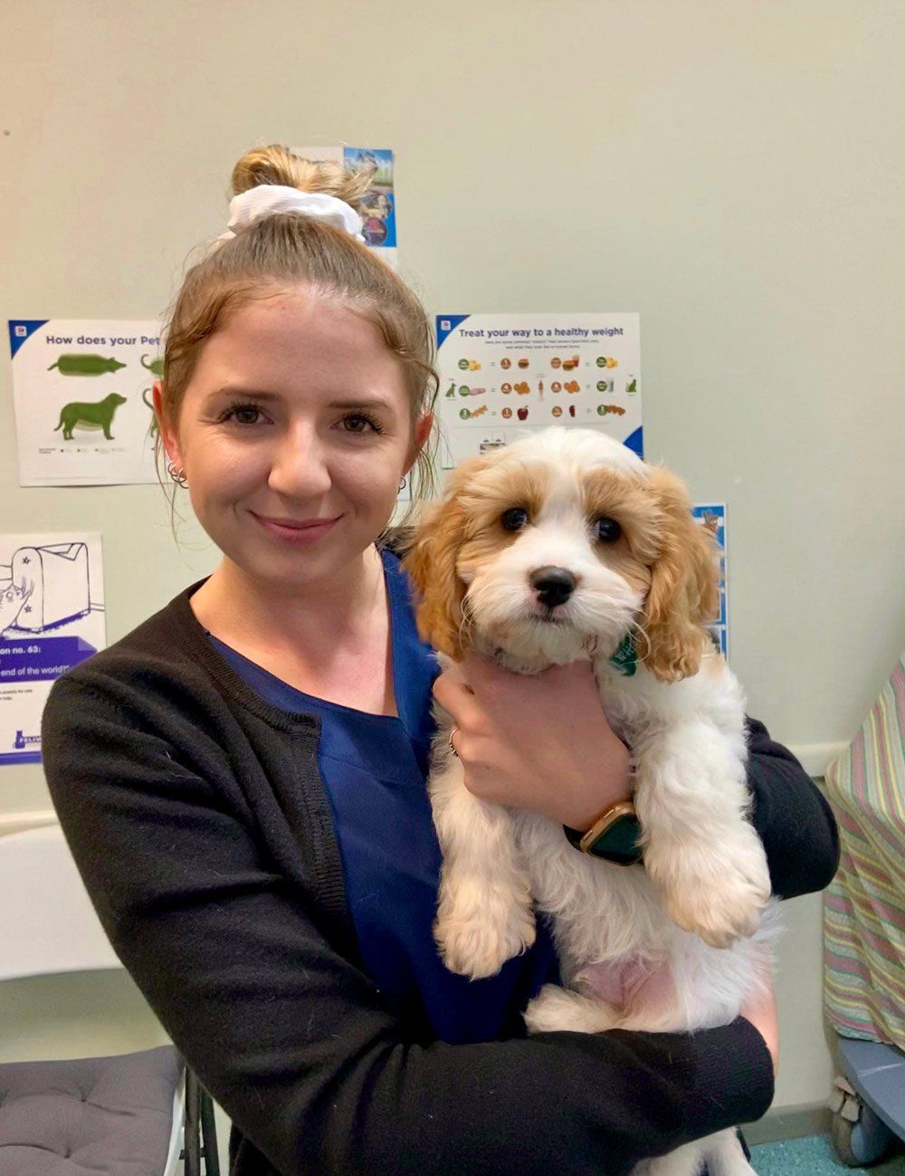 Grafton Veterinary Clinic Vet in Grafton