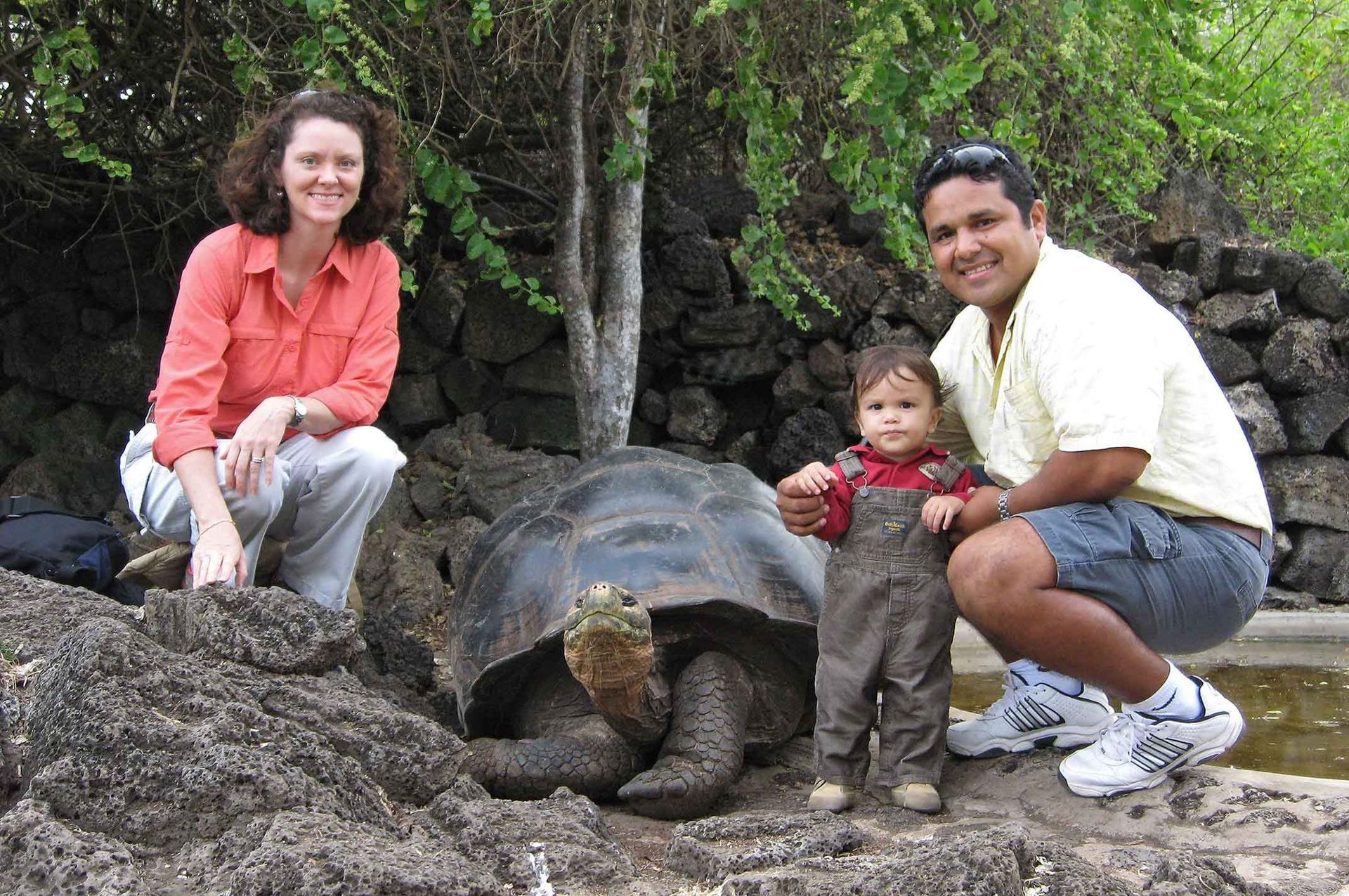 A family poses with a giant Galapagos tortoise. The woman squats, and the man and toddler stand. All smile outside.