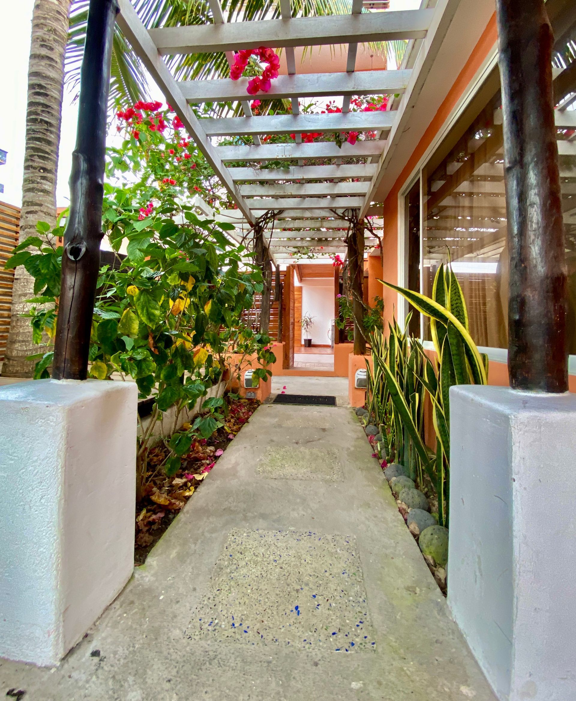 Pathway lined with plants and a pergola, leading to a doorway. The walls are orange, the pathway concrete.