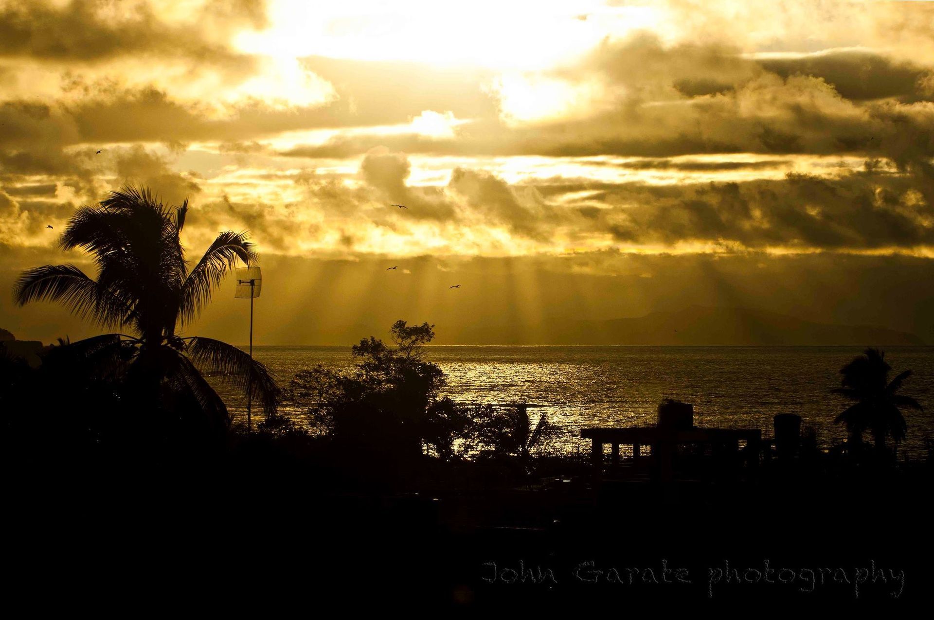 Golden sunset over the ocean with palm tree silhouettes and sunbeams through clouds in Galapagos