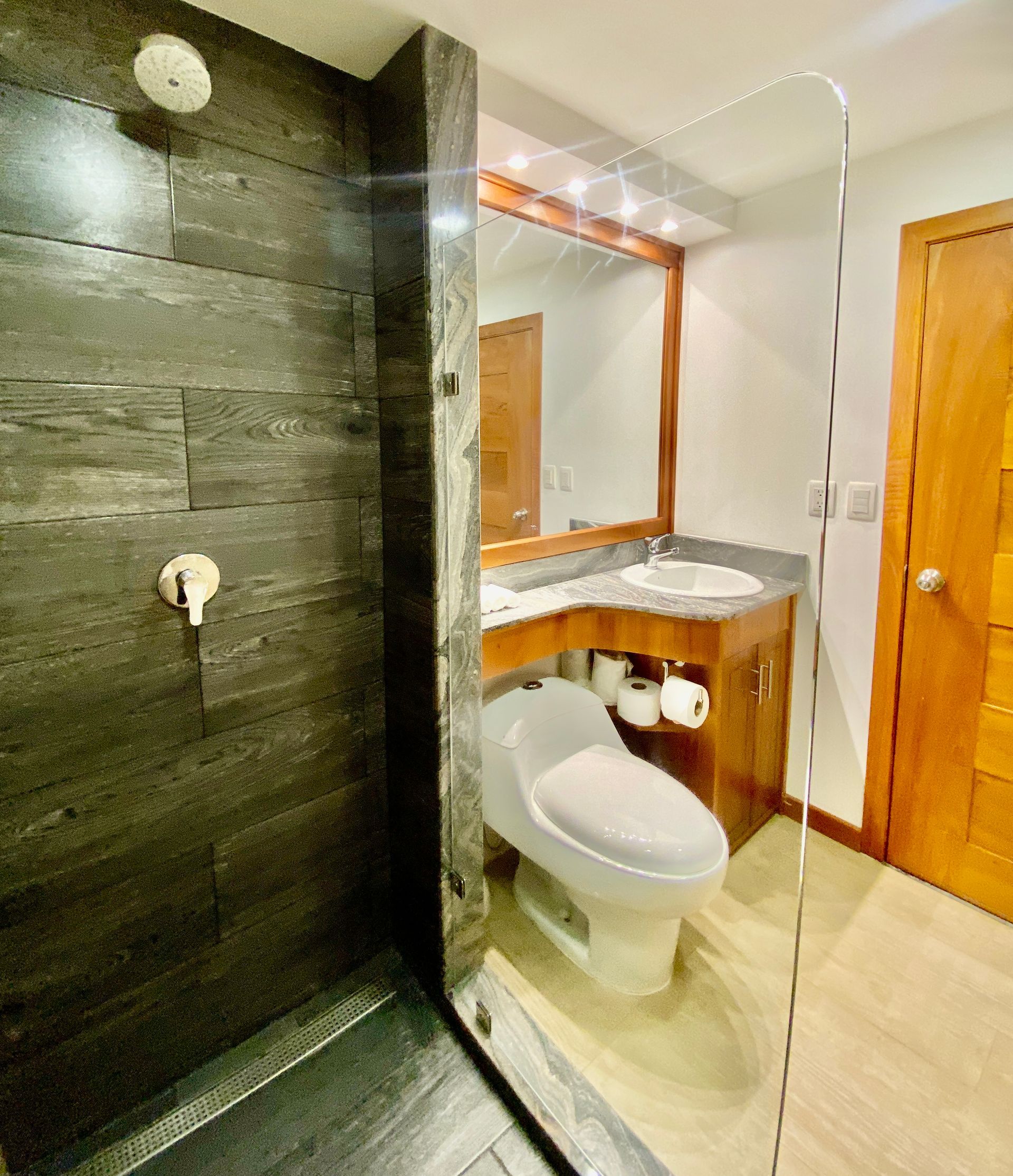 Bathroom with shower stall, toilet, and vanity. Dark gray tile shower wall, wood-framed mirror, and light wood door.