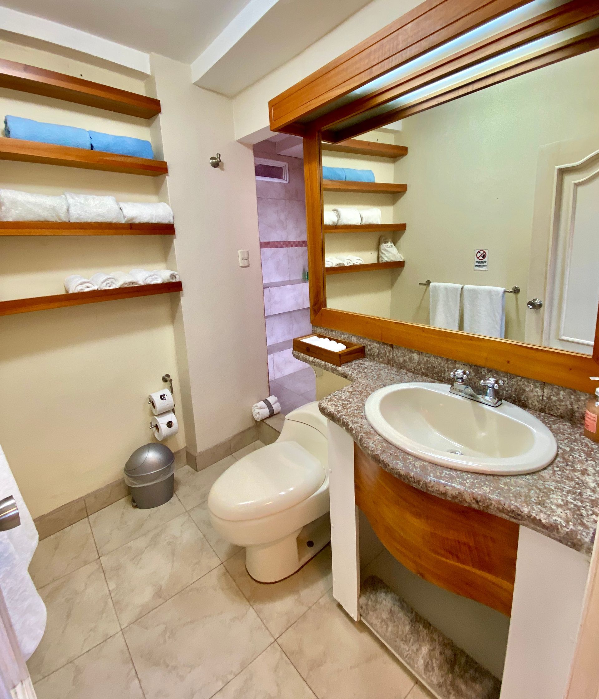 A bathroom with a toilet a sink and a mirror