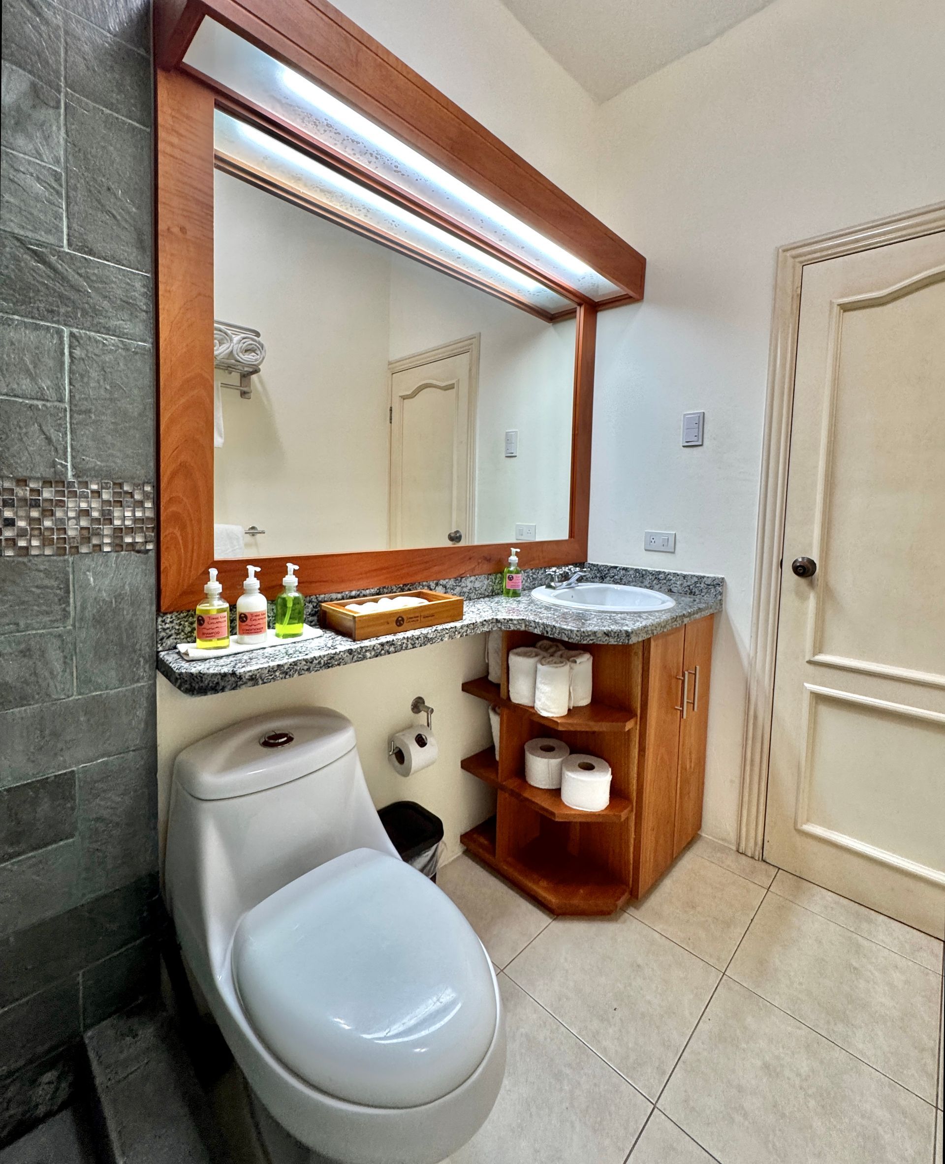 Bathroom with a white toilet, wooden vanity, and large mirror. Gray tiled wall on the left.