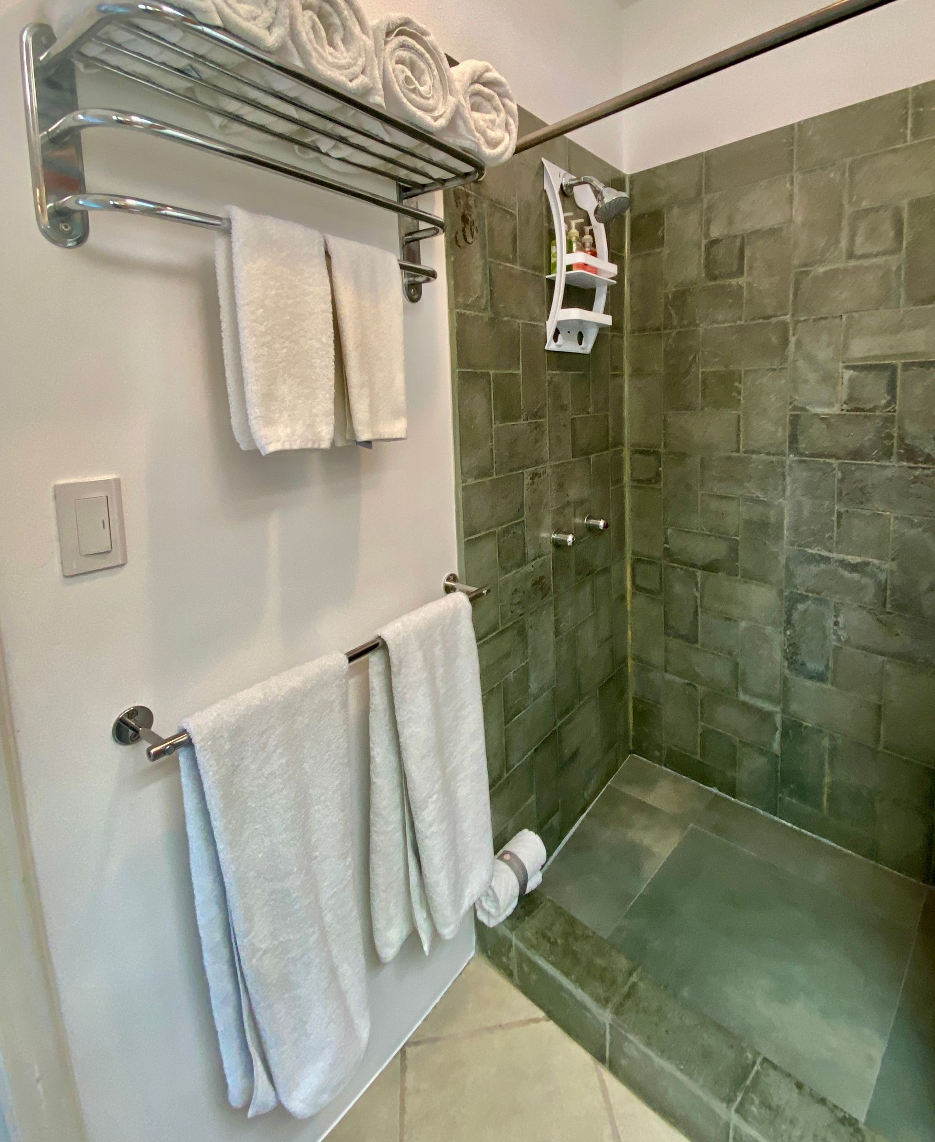 A bathroom with a walk in shower and a towel rack.