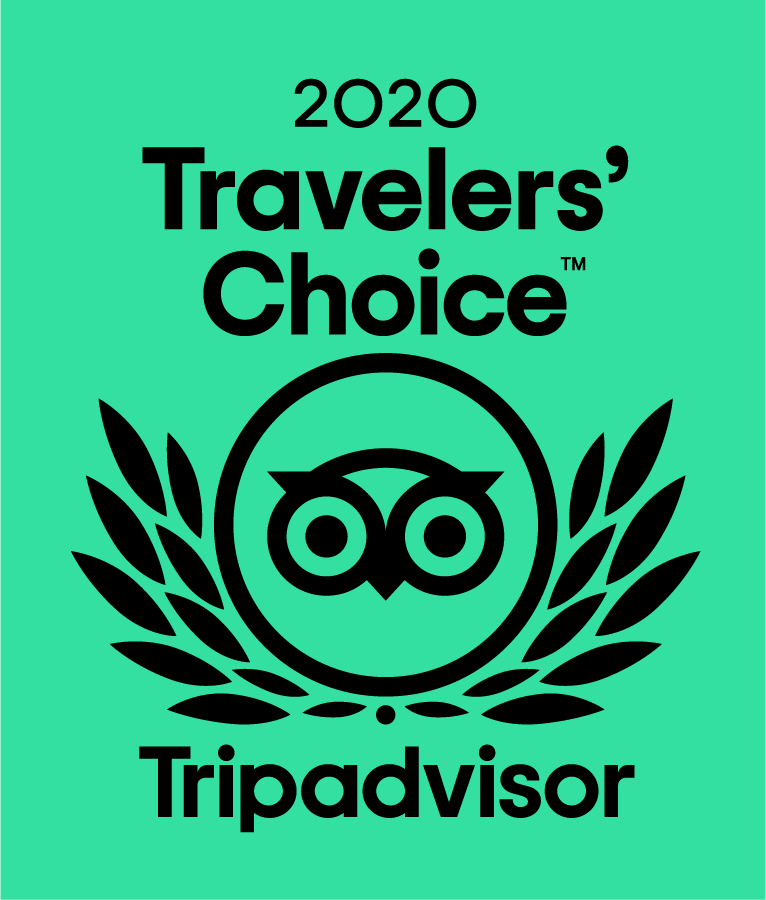 The logo for travelers choice tripadvisor is green and black.