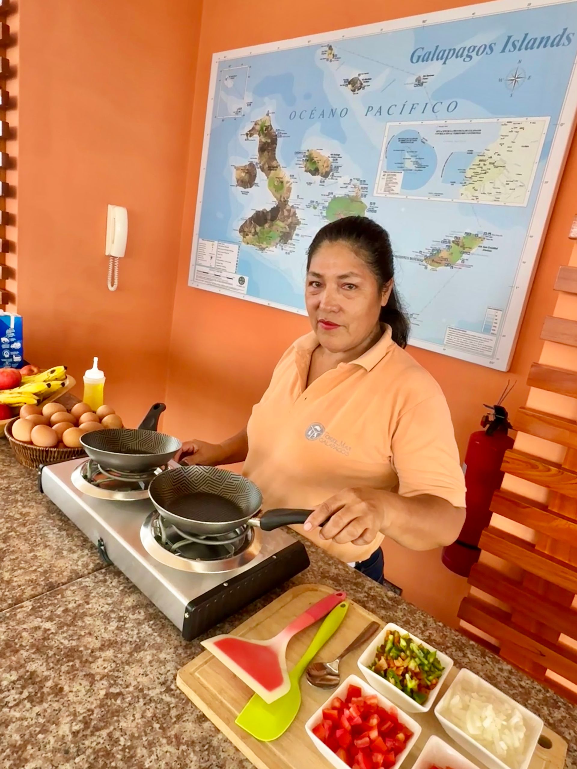 A woman is cooking on a stove in front of a map of the world.