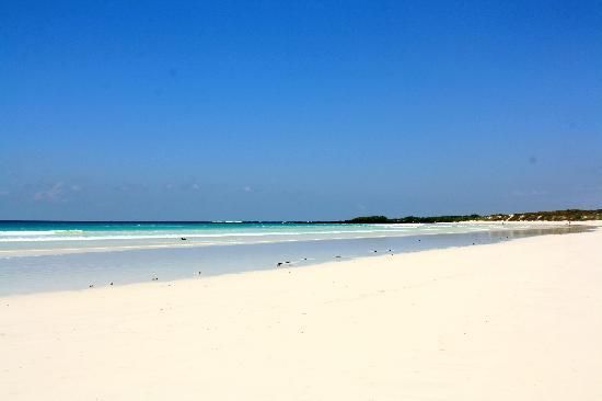 A white sandy beach with a blue ocean in the background.