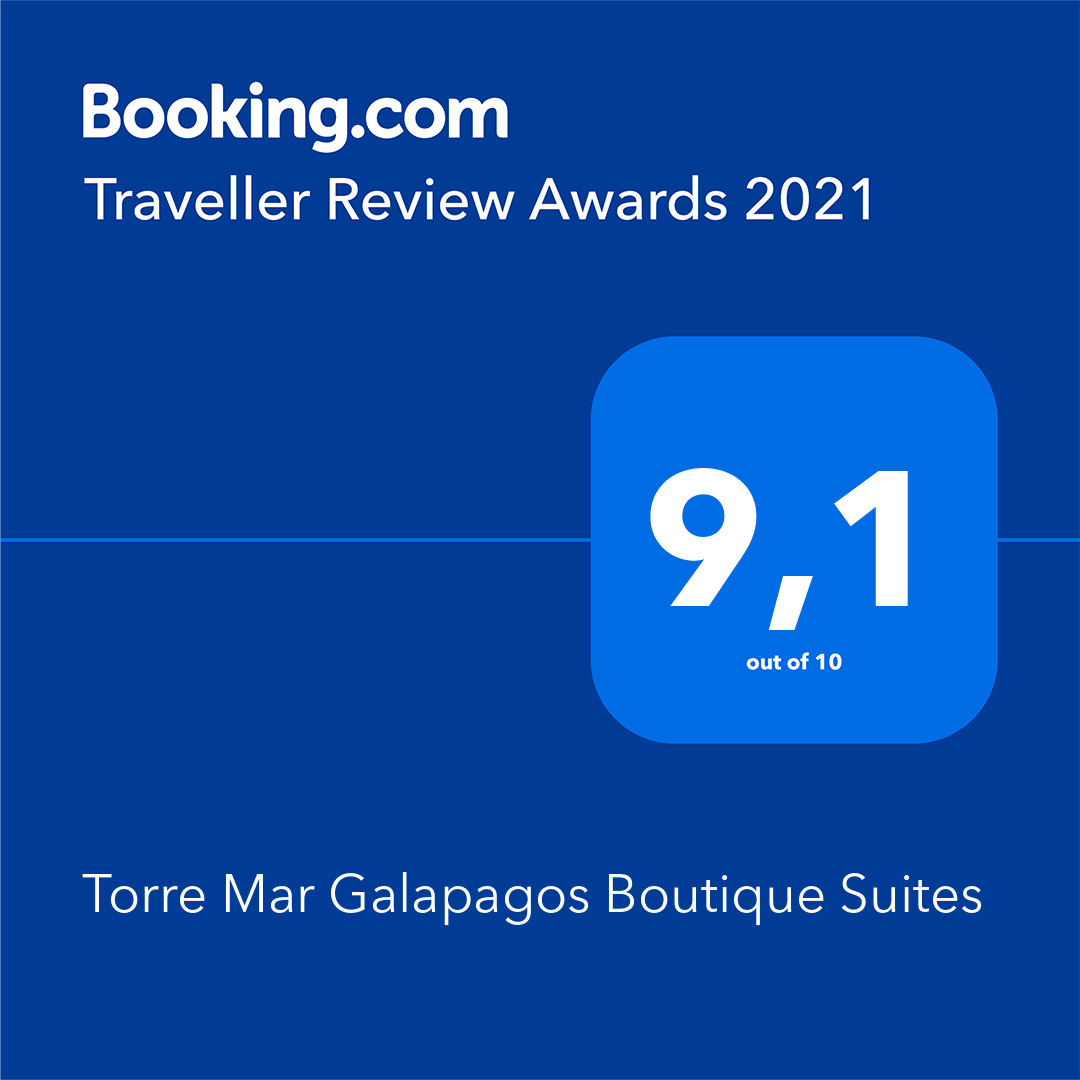 A booking.com traveler review award for torre mar galapagos boutique suites