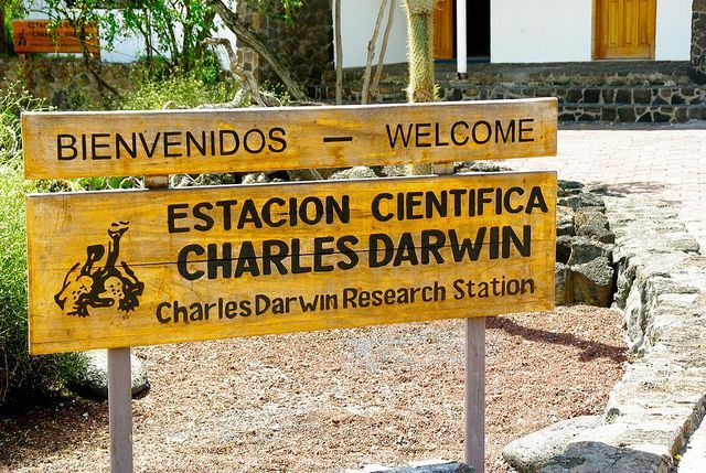 A wooden sign welcomes people to the charles darwin research station