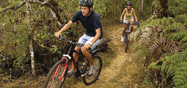 A man and a woman are riding bikes on a trail in the woods.