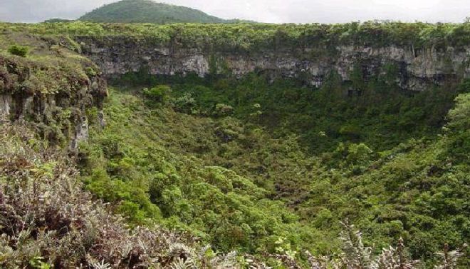 A valley filled with lots of trees and mountains in the background.