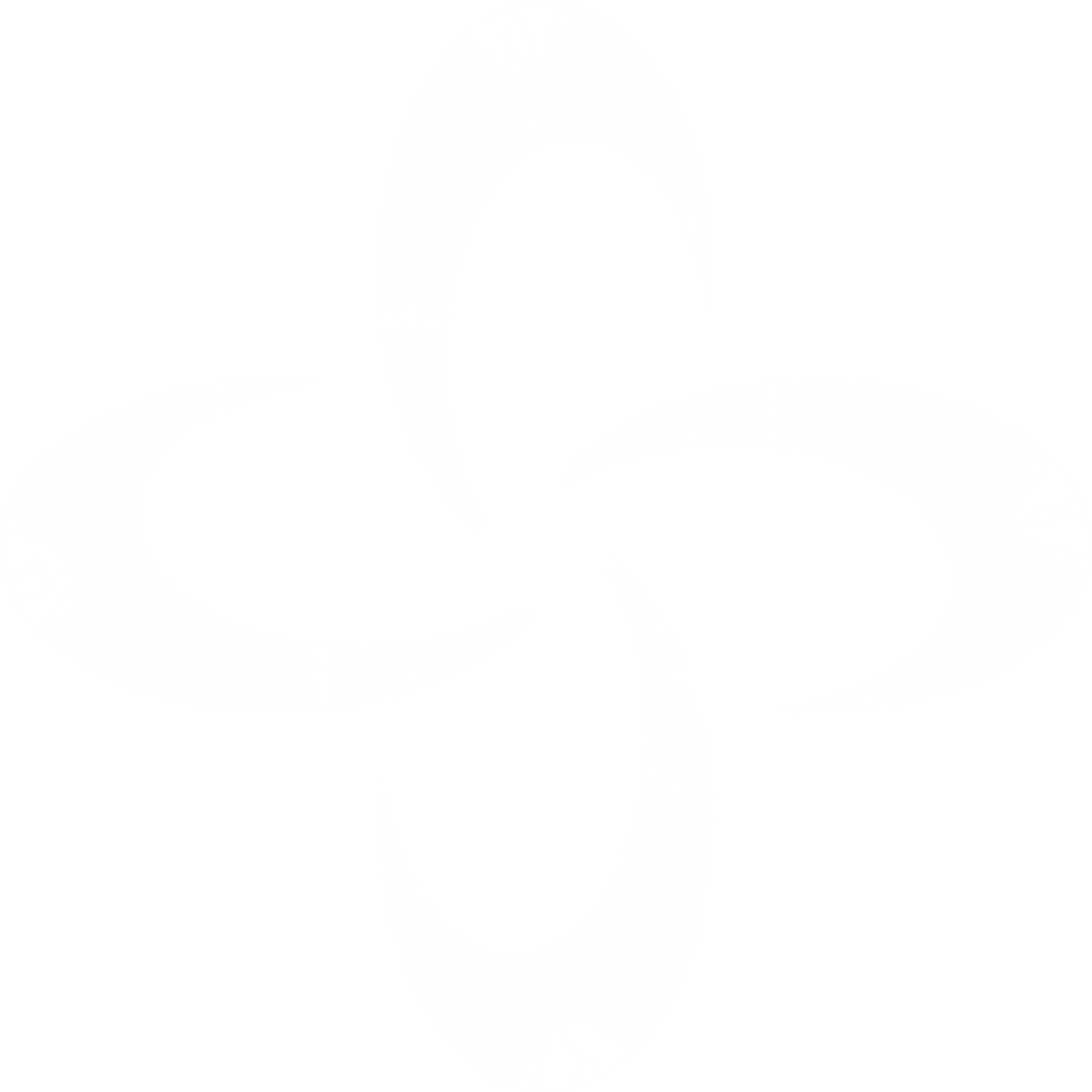 Women's Elite Rugby logo in gray