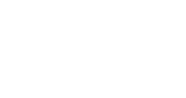 Lavish Looks Boutique